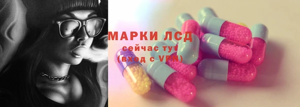 PSILOCYBIN Алзамай