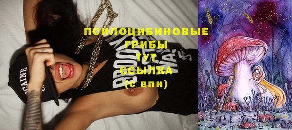 PSILOCYBIN Алзамай