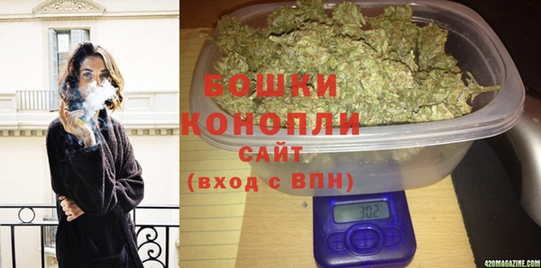 PSILOCYBIN Алзамай