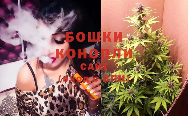 PSILOCYBIN Алзамай