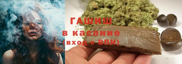 PSILOCYBIN Алзамай