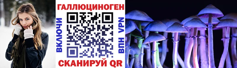 где продают наркотики  Сусуман  гидра сайт  Галлюциногенные грибы мухоморы 